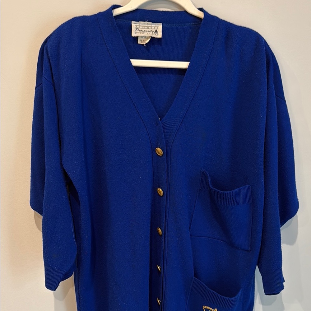 Vintage Prosperity Blue Button-Up Cardigan